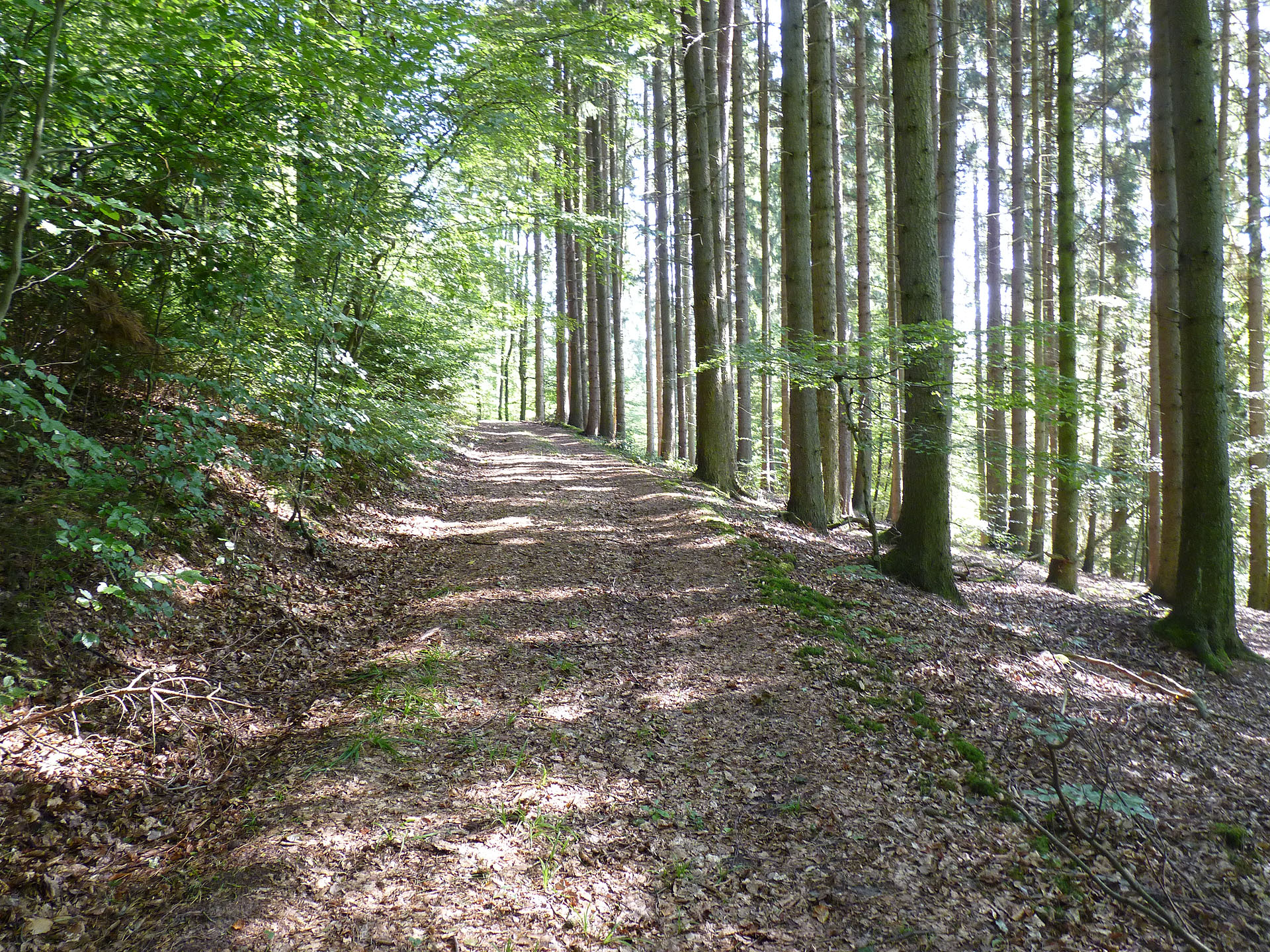 Wanderwege in Naumburg N3 Kuckucksweg Wanderwege in Naumburg N3 Kuckucksweg