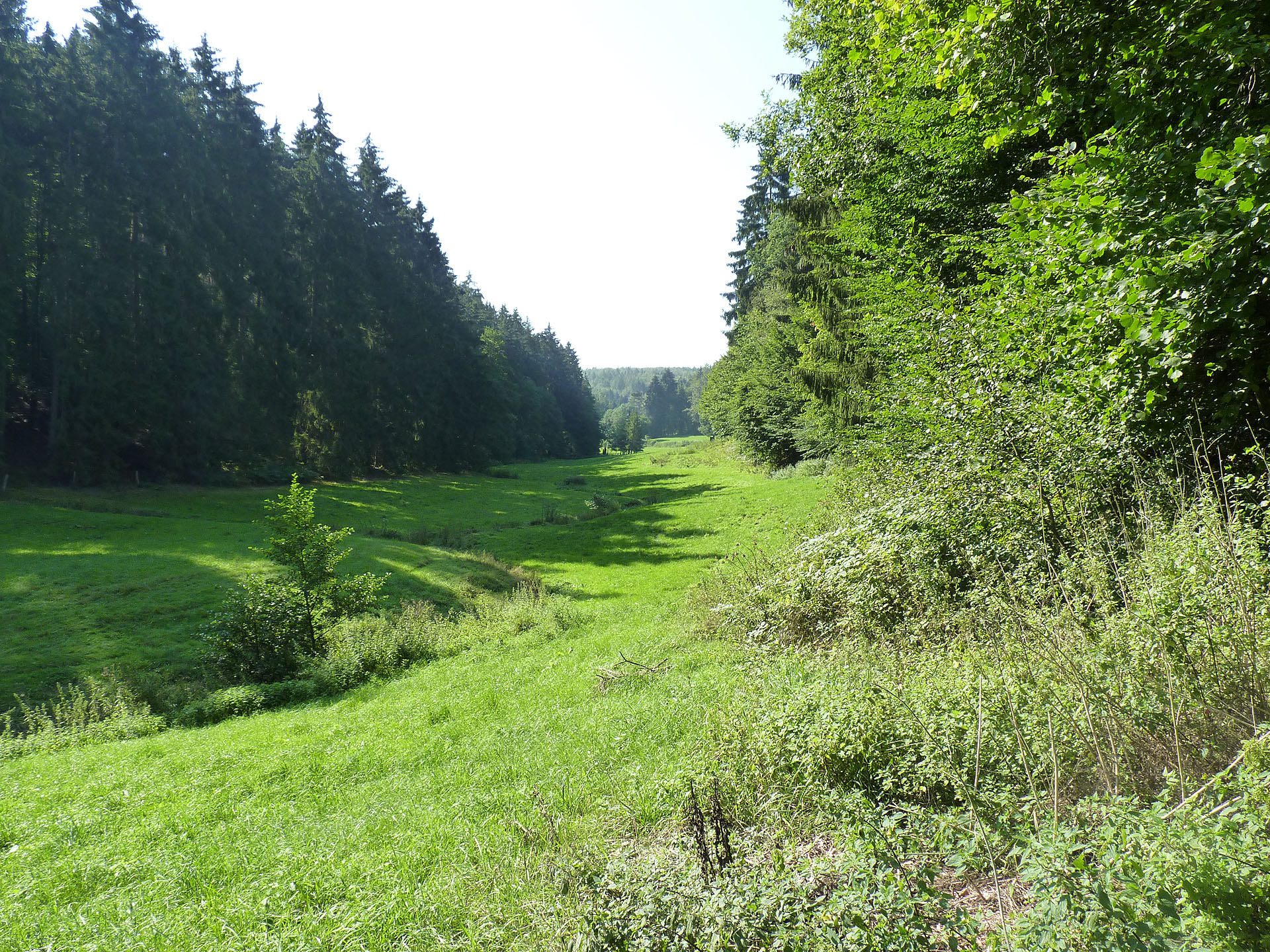 Wanderwege in Naumburg N3 Kuckucksweg Wanderwege in Naumburg N3 Kuckucksweg