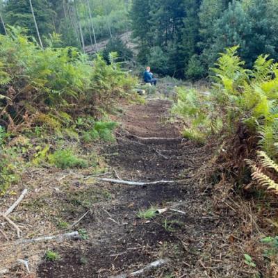 Neuer Rastplatz an der Elbequelle