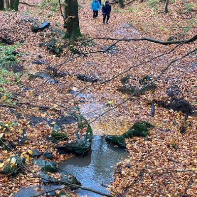 Monatswanderung Oktober der Wanderfreunde Naumburg