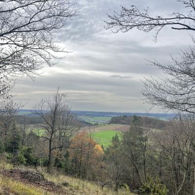 Monatswanderung November