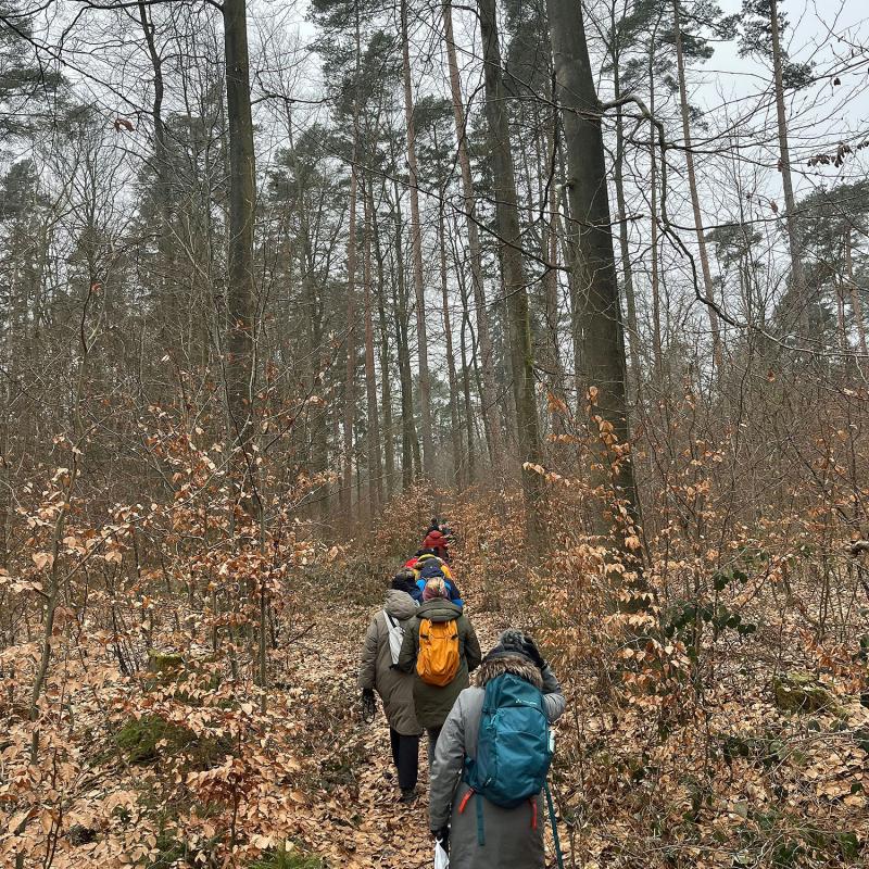 Monatswanderung Januar 2026 der Wanderfreunde Naumburg