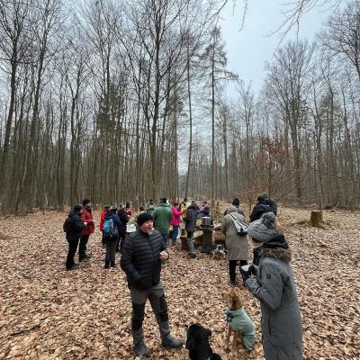 Monatswanderung Januar 2026 der Wanderfreunde Naumburg