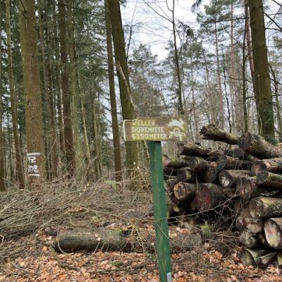 Monatswanderung Februar 2026 der Wanderfreunde Naumburg