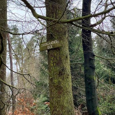 Monatswanderung Februar 2026 der Wanderfreunde Naumburg