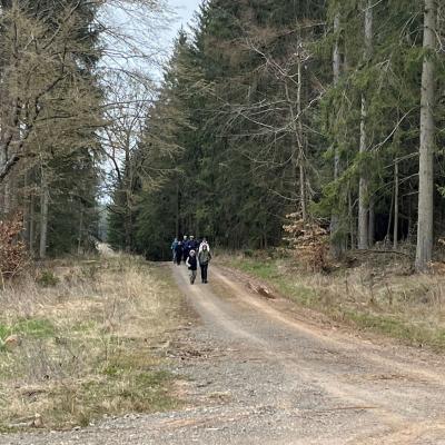 Monatswanderung März 2025