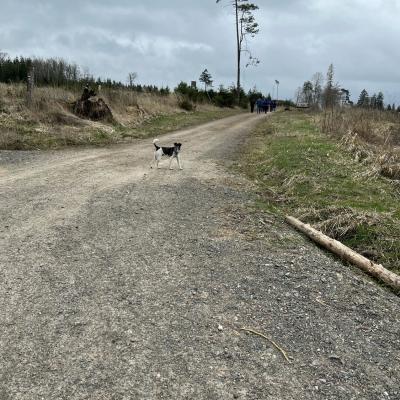 Monatswanderung März 2025