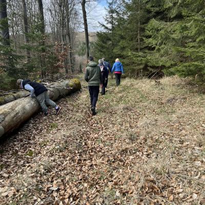 Monatswanderung März 2025