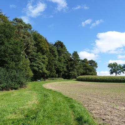 Naumburger Wanderwege