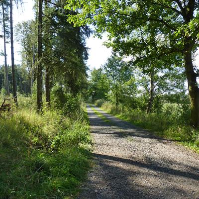 Naumburger Wanderwege