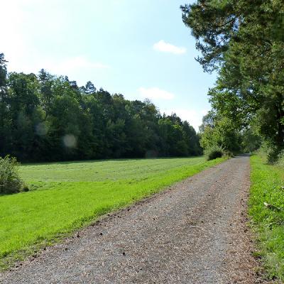 Naumburger Wanderwege