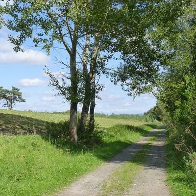 Naumburger Wanderwege