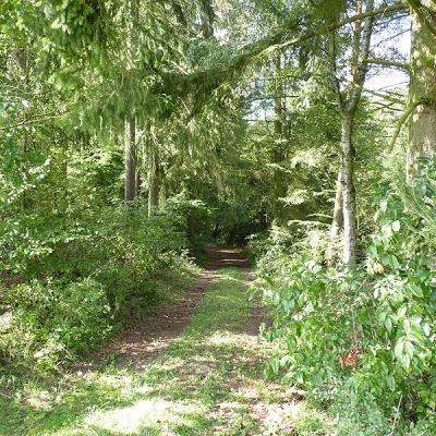 Naumburger Wanderwege