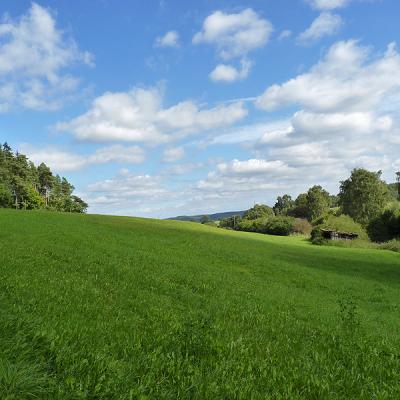 Naumburger Wanderwege