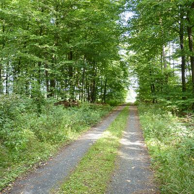 Naumburger Wanderwege