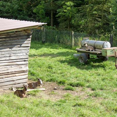 Naumburger Wanderwege