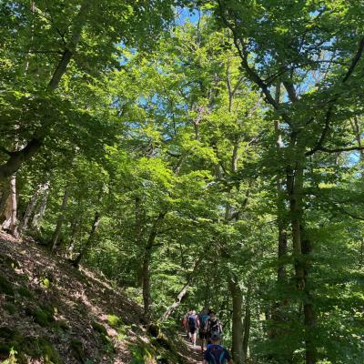 Monatswanderung Mai 2024