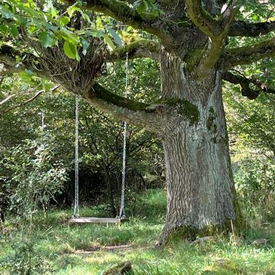 Monatswanderung August