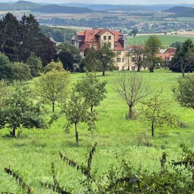 Monatswanderung August