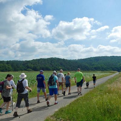 Sommerfest 2025 Wanderung zum Hattenhausener Wald
