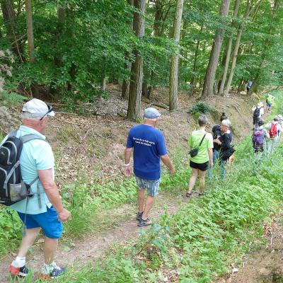 Sommerfest 2025 Wanderung im Hattenhausener Wald