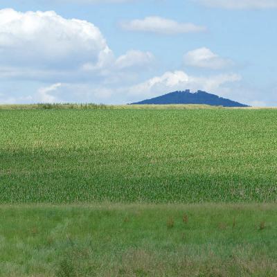 Sommerfest 2025 Wanderung im Hattenhausener Wald