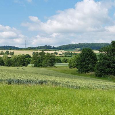 Sommerfest 2025 zum Naumburger Sportplatz