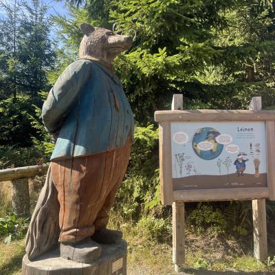 Tagesausflug in Willingen der Wanderfreunde Naumburg