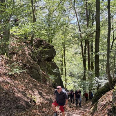 Tagesfahrt nach Eisenach der Wanderfreunde Naumburg 2026