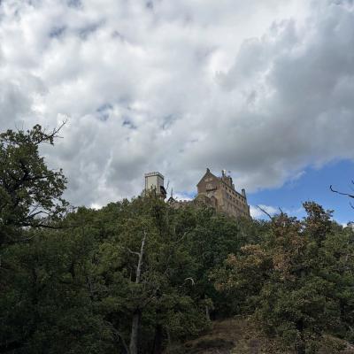 Tagesfahrt nach Eisenach der Wanderfreunde Naumburg 2026