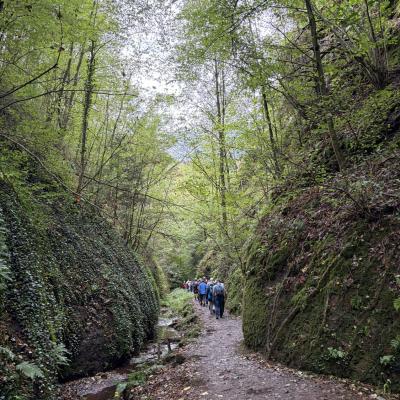 Tagesfahrt nach Eisenach der Wanderfreunde Naumburg 2026
