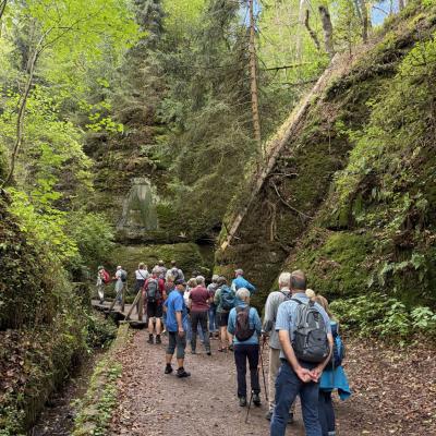 Tagesfahrt nach Eisenach der Wanderfreunde Naumburg 2026