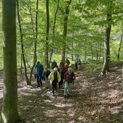 Monatswanderung April 2025