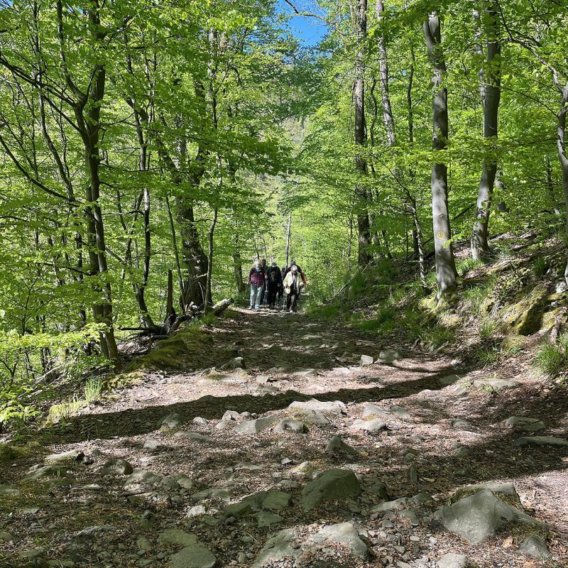 Monatswanderung April 2025