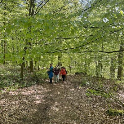 Monatswanderung April 2025