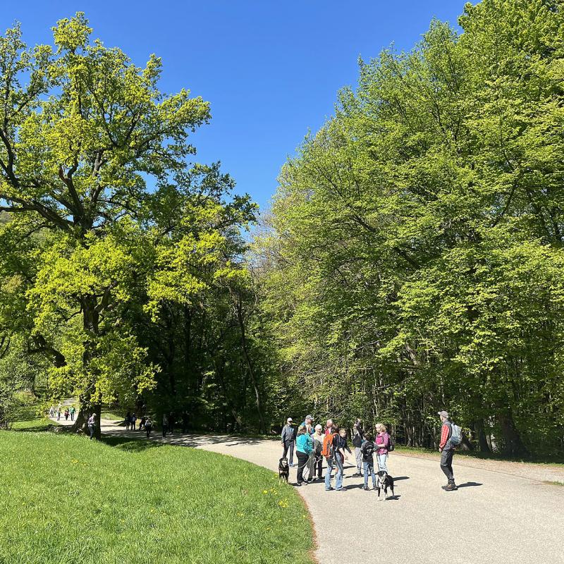 Monatswanderung April 2025