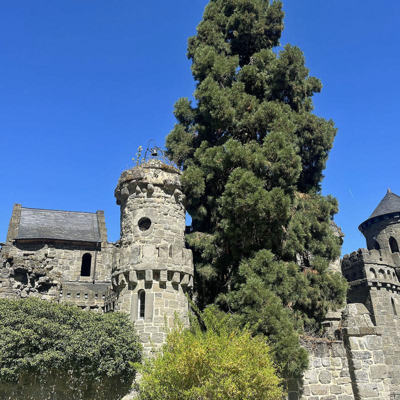 Monatswanderung April 2025