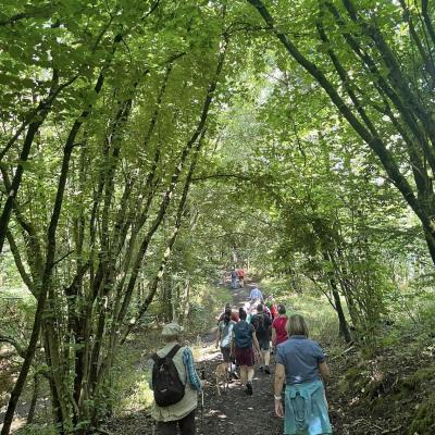 Monatswanderung Juli 2024